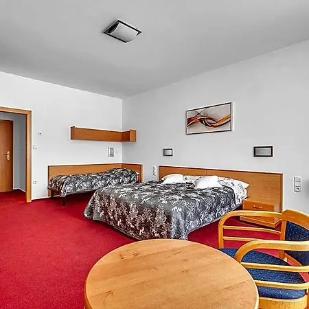 Hotel Za Vodou 3*