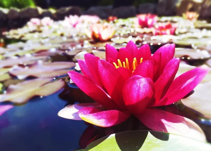 Hotel Za Vodou Dvur Kralove nad Labem